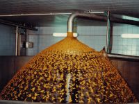 Prost�jov